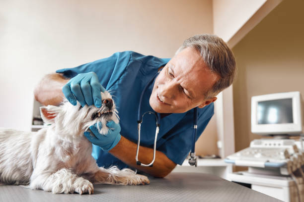 Best Emergency Wisdom Teeth Removal in El Granada, CA